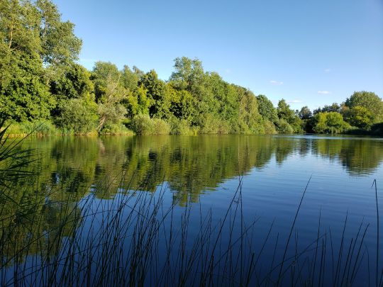 Bade- und Südteich (Brietz)