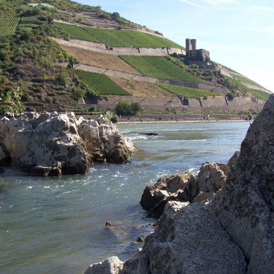 Rhein (Bingen/Rhein) ALLE ANGELN