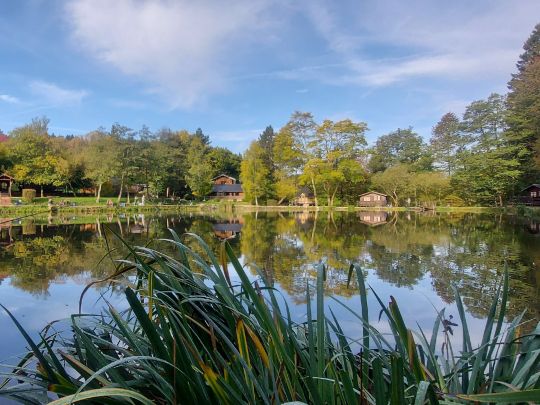 Angelpark Barweiler Mühle